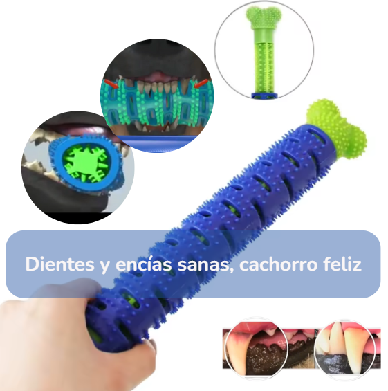 Limpiador de Dientes Autocepillable para Cachorros | Salud para tu compañero