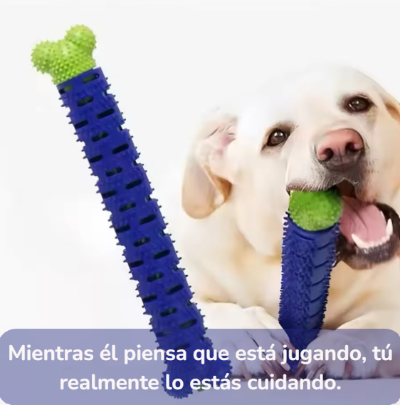 Limpiador de Dientes Autocepillable para Cachorros | Salud para tu compañero