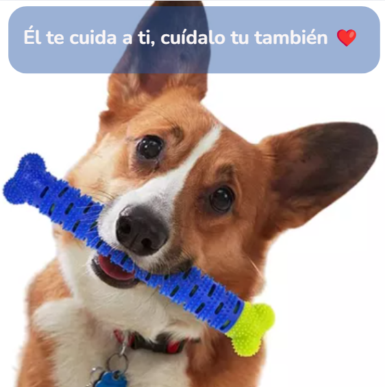 Limpiador de Dientes Autocepillable para Cachorros | Salud para tu compañero