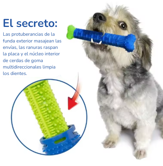Limpiador de Dientes Autocepillable para Cachorros | Salud para tu compañero