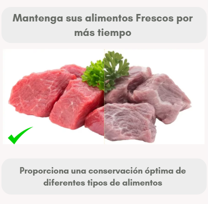SELLADORA DE ALIMENTOS AL VACÍO | CONSERVA TU COMIDA Y AHORRA