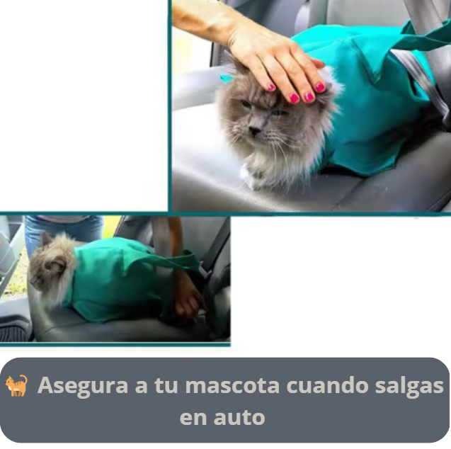 BOLSO DE TRANSPORTE PARA GATOS | LLEVA A TU COMPAÑERO CON  FACILIDAD | Color sujeto a disponibilidad de stock